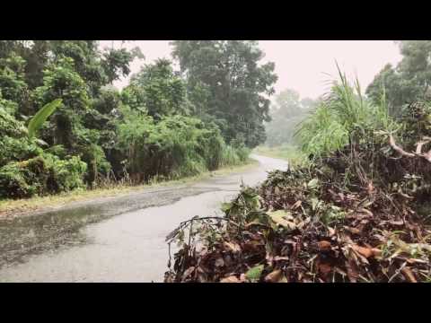 All New FORTUNER VRZ 4X4,MOBIL MANOKWARI