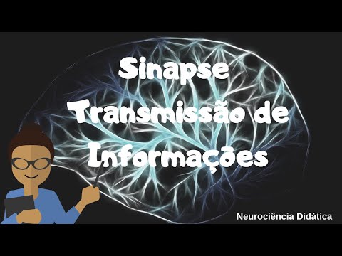 Sinapses (química e elétrica) - Transmissão de Informações