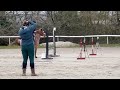 Super Ponette 1,26m 2015 recherche son ou sa cavalière