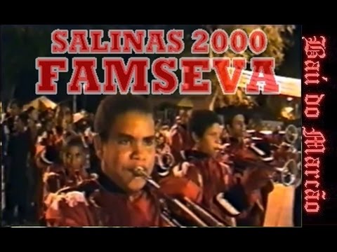 FAMSEVA - SALINAS 2000 - BAÚ DO MARCÃO
