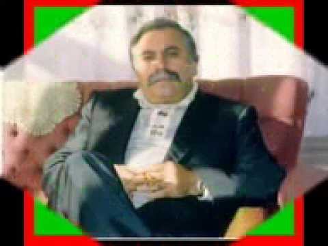 Dr.Rodi Demirkapı - Baz û Tolaz