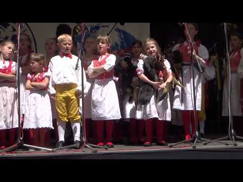 DLS MALÝ METELÁČEK z Plzně / MFF Plzeň 2022, dětský pořad č. 7/10