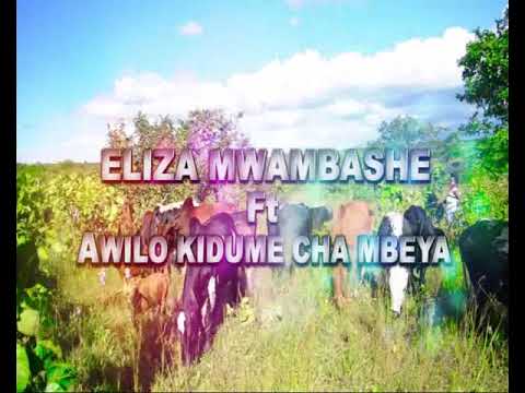 Eliza Mwampashi Ft Awilo Kidume Cha Mbeya Iyelele Official Video Mp3 Free Download Copy the video url that you want to download and paste it to the search box. eliza mwampashi ft awilo kidume cha