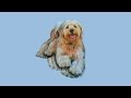 VULFPECK /// Christmas in L.A. 