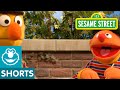 Sesame Street Bert And Ernie S Science Experiment