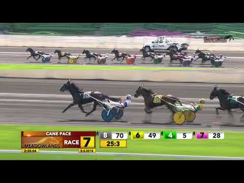 Cane Pace - August 4, 2018