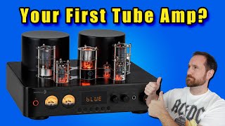 Dayton HTA200 Hybrid Amp Blind Test Results and Analysis.