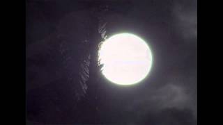 The Voice of Love | Julee Cruise