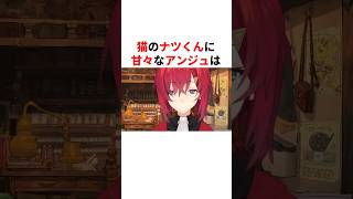 猫のナツくんに甘々なアンジュが尊い　#youtuber#vtuber#雑学#豆知識