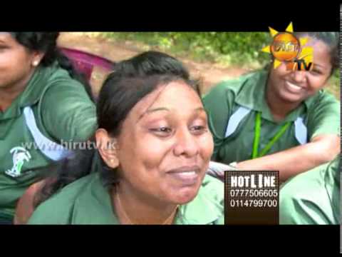 Hiru TV