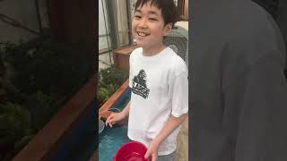 金魚すくい！ #shorts #レオ