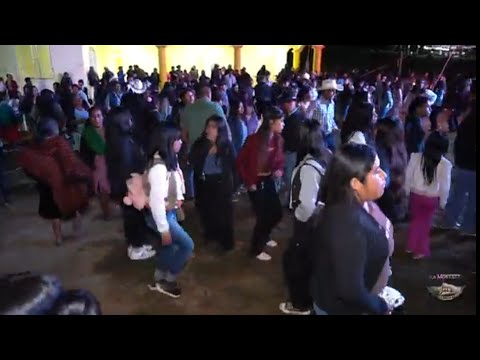 🇲🇽PROYECTO VEGA 🎸 Los Pinos, Xalpitzahuac Gro.🇲🇽