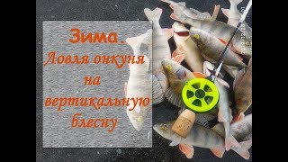 Ловля окуня на вертикальной блесне