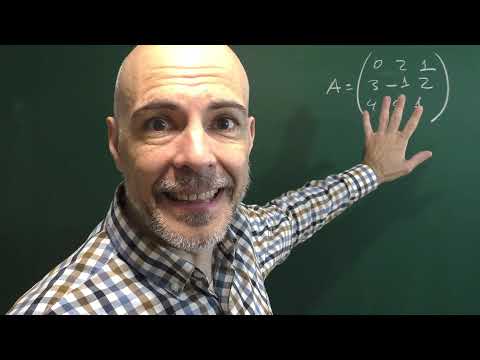 DETERMINAR LOS MENORES Y LOS COFACTORES DE UNA MATRIZ 3×3