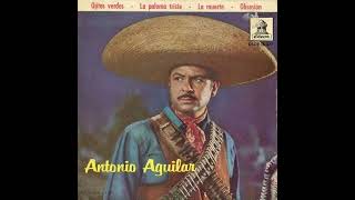 la paloma triste Antonio Aguilar (audio oficial)