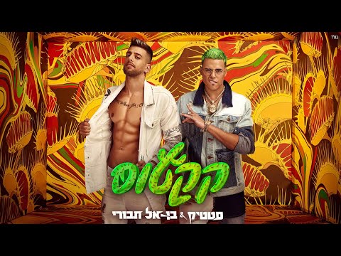 קקטוס
