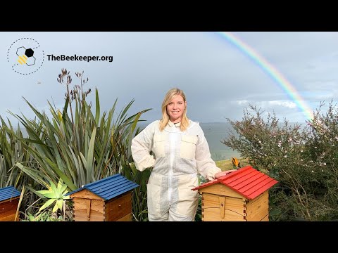 TheBeekeeper.org - Hilary Kearney Live Q&A, April 2020