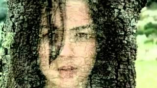 Stefanos Korkolis ✿ Sensitivities (Album FIRST TOUCH)⋯ ◯ ⋯.¨︵¸︵