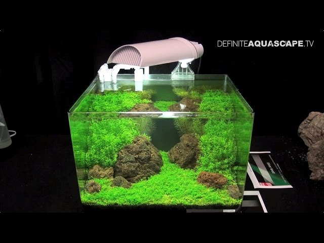 The Art of the Planted Aquarium 2015 - Dennerle Scaper's Tank (Nano) compilation pt.2