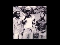 The Heptones | I've Got The Handle