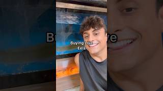 Buying Electric Eels