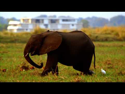 Namibia Tourism 6 - Zambezi region