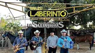 Popurrí “Tributo a Grupo Laberinto “ En Vivo desde la Cuadra El Buly ! Y tóquenme otra Cedreños !