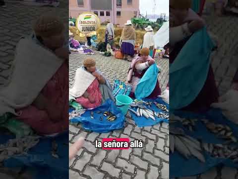 De Visita en Huatajata donde cada miércoles se realiza una feria . #lapaz_bolivia🇧🇴 #huatajata🇧🇴
