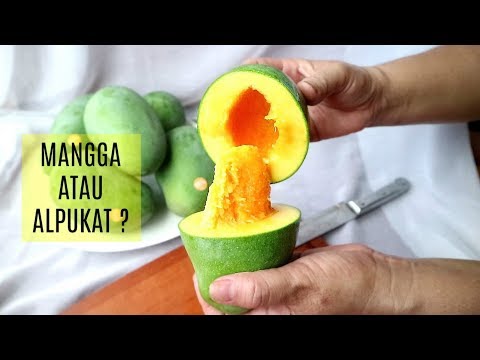 Hikaw slimming presyo Spell sa pagbaba ng timbang ay hindi magkano