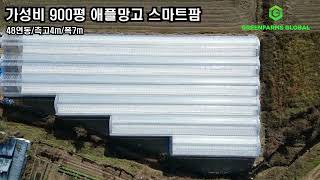 양평 애플망고 스마트팜 시공 완성! 가성비 48연동 하우스의 모든 것(폭 7m / 측고 4m / 스마트 양액…