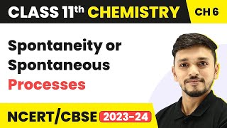 Class 11 Chemistry Chapter 6 | Spontaneity or Spontaneous Processes - Thermodynamics
