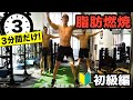 【3分間自宅トレーニング💪】そこそこしんどいHIIT (初級編🔰)