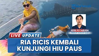 Pakai Kostum Mermaid saat Naik Perahu Kaca, Ria Ricis Kunjungi Hiu Paus Gorontalo Lagi usai 4 Tahun