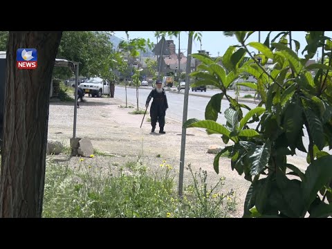 بەڤیدیۆ.. تەمەنی زیاتر لە ٩٠ ساڵەو هەرگیز سواری ئۆتۆمبێل نەبووە