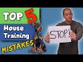STOP Making These Potty Training Mistakes Doberman Puppy Training
