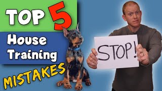 STOP Making These Potty Training Mistakes! Doberman Puppy Training