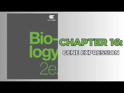 OpenStax Biology 2e (Audiobook) - Chapter 16: Gene Expression