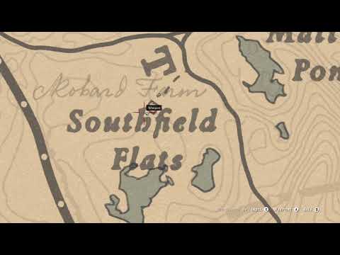 how to get a free gun in RDR2