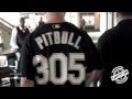 305 Till I Die... Pitbull