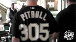 Pitbull - 305 Till I Die...