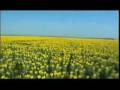 La gusana ciega - Tornasol ( Vueves a ser) 