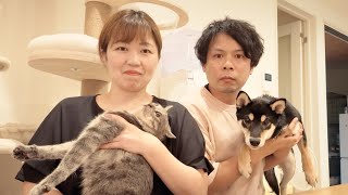 夢が叶いました…。
