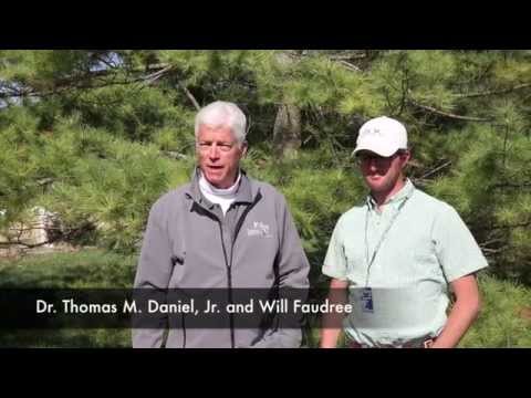 Soft-Ride Boots | Practical Horseman