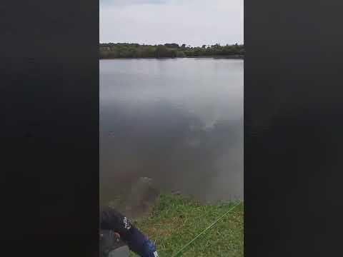 Lagoa parque de imbituva parana