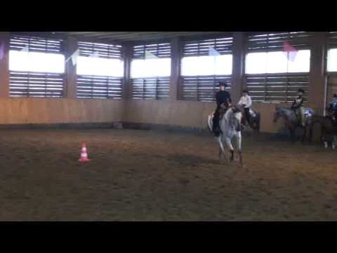 Western horsemanship Rožnov 31.5.2009