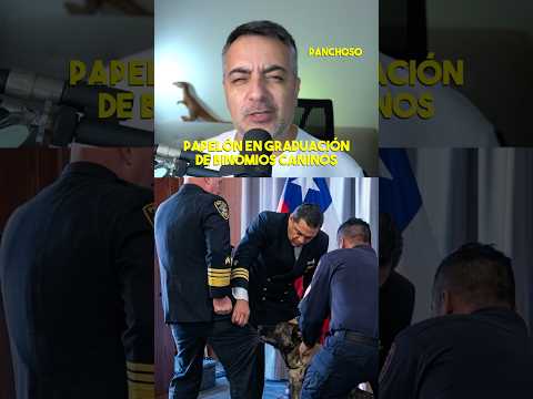 PERRO ANTIDROGAS ATACÓ A VICEALMIRANTE.