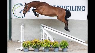 Jumping & movement