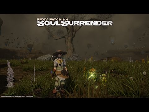 「FINAL FANTASY XIV」Legendary Node: Star Cotton Boll (Rotation)