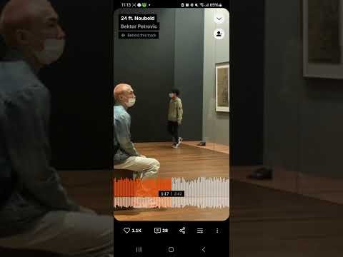 Bektor Petrovic - 24 ft. Noubold