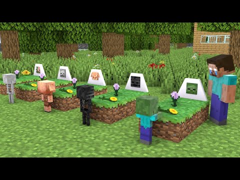 Baby Zombie is Kidnapped - Minecraft Animation